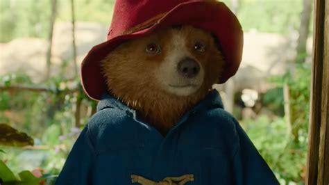 Paddington in Peru 2025